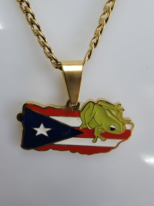 charms con el  mapa  al reliebe  con  bandera de colores de Puerto Rico y el coqui en  stainless steel